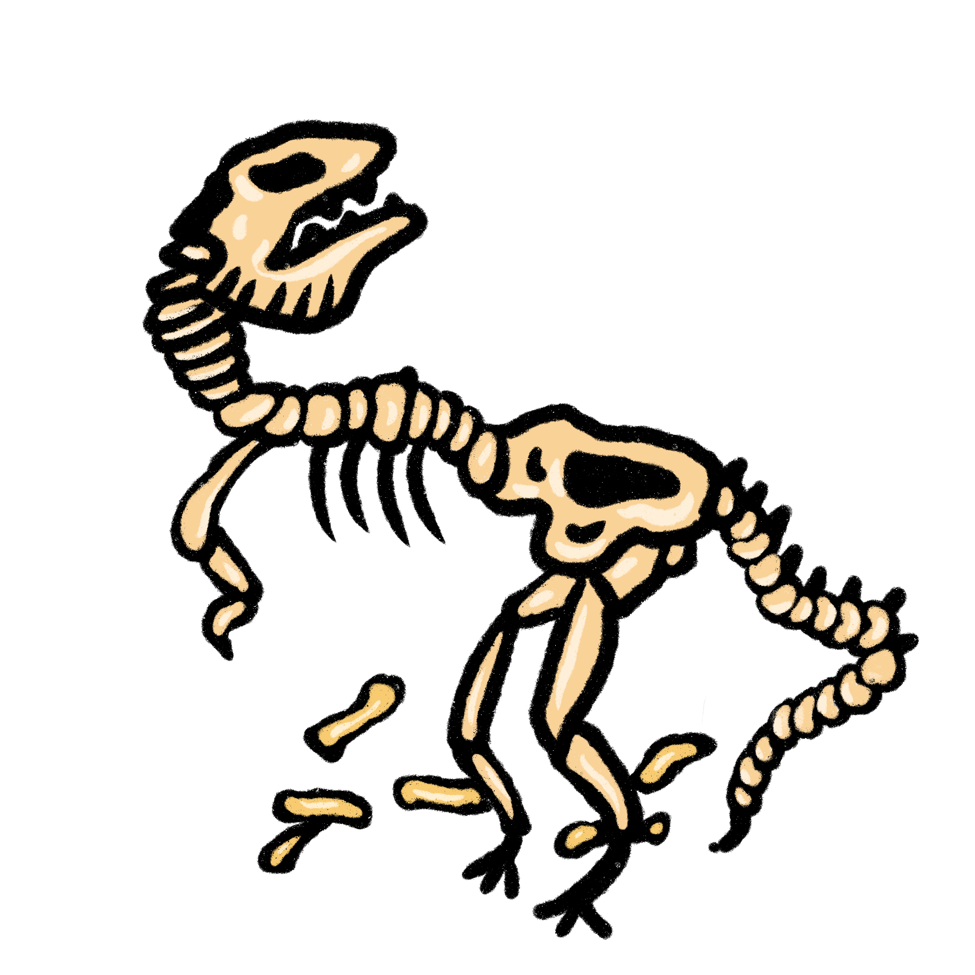 Fosil Dinosaurus